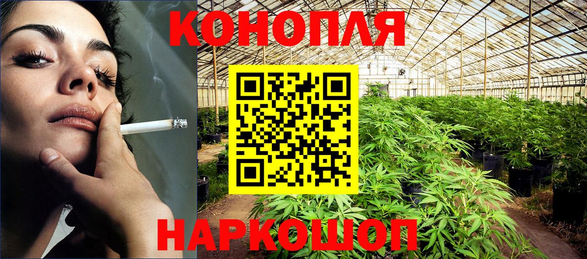 МАРИХУАНА план  Вход с VPN  Марихуана AK-47  Камышин 