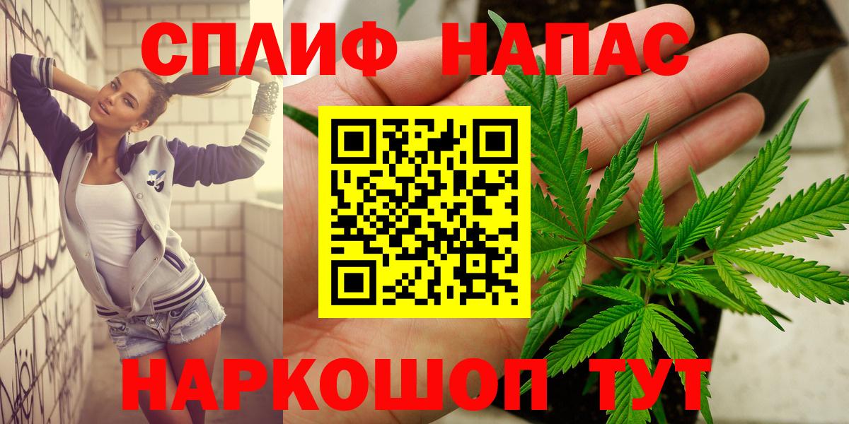 Конопля гибрид Камышин